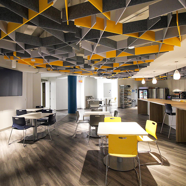 وحدات السقف الصوتية غير المنتظمة